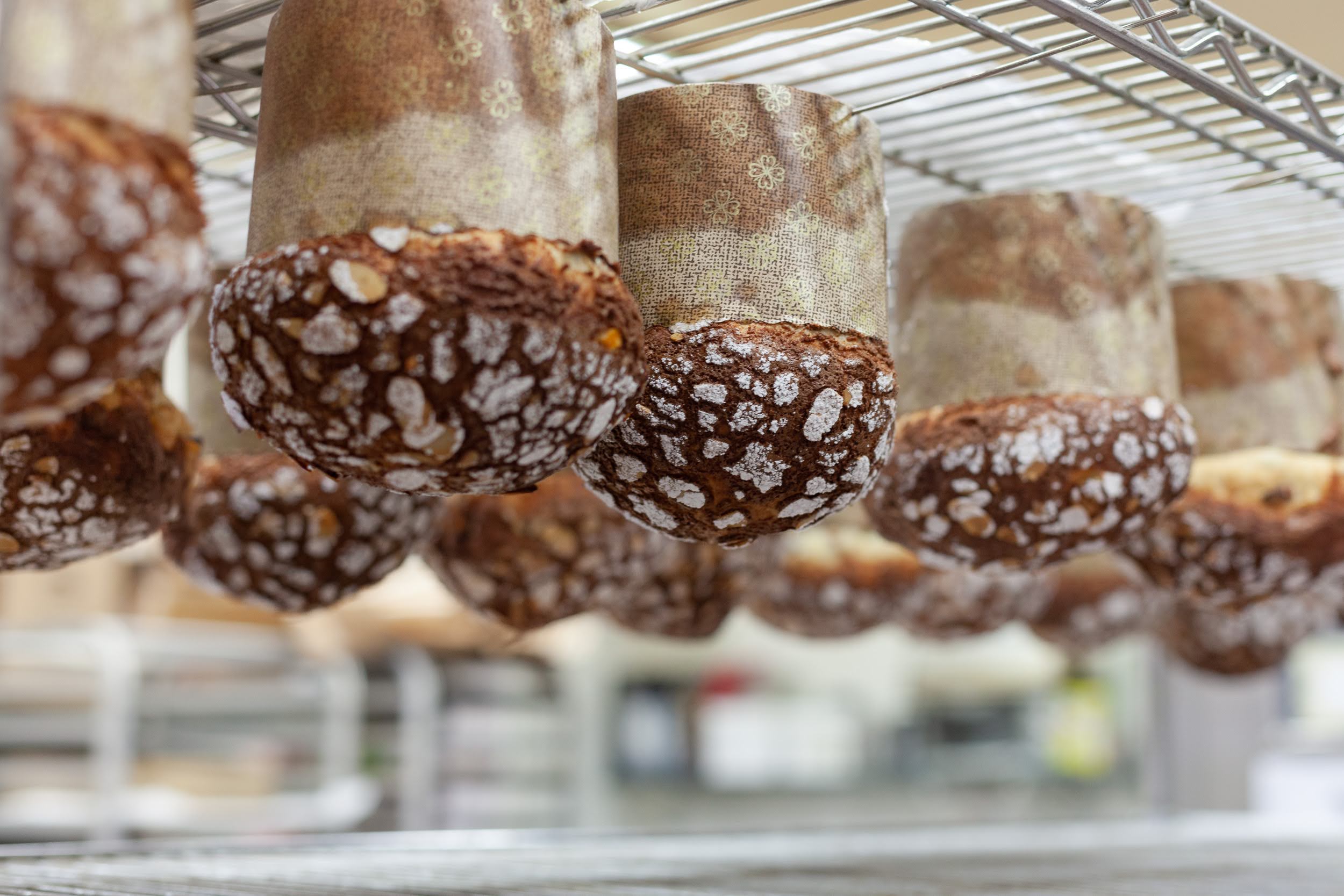 Christies Bakery Panettone for Christmas