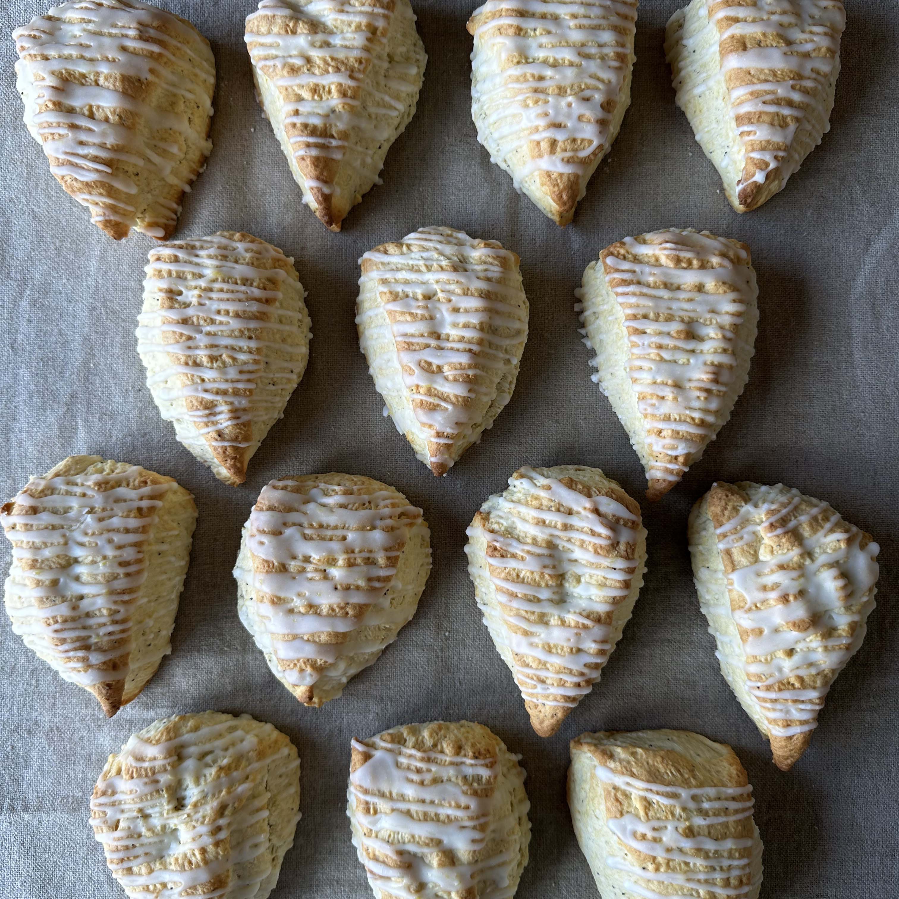 Lemon Poppyseed Scones - Christies Bakery