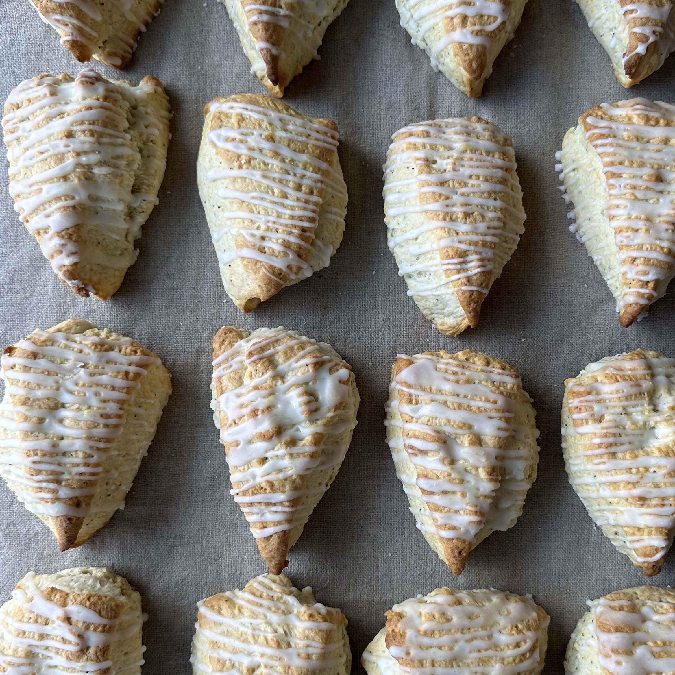 Lemon Poppyseed Scones - Christies Bakery