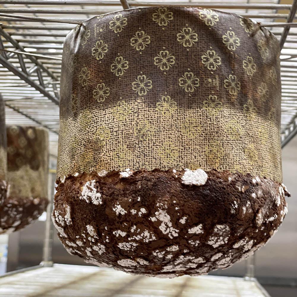 Panettone - Christies Bakery